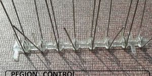 Pegion Control Product