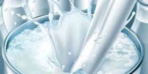 Packaged Milk