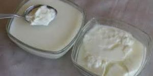 Toned Milk Curd