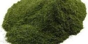 Neem Powder