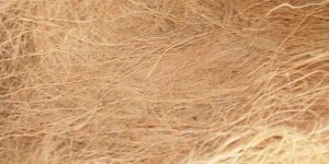Coir Fiber Bale