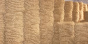 Machine Twisted Coir Fiber