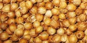 Coriander Seeds