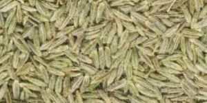 Cumin Seeds
