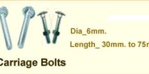 Carriage Bolt