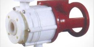 Vertical Glandless Pump