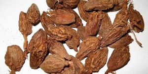 Black Cardamom