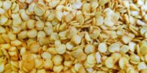 Red Chilli Seeds