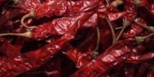 Dried Red Chilli