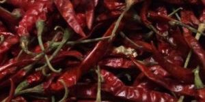 Teja Dried Red Chilli