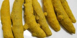 Turmeric Finger