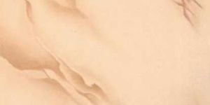 Printed Floor Tile (PFT - 2213)