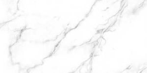 White Glossy Floor Tile (WGFT - 1107)