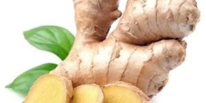 Fresh Indian Ginger