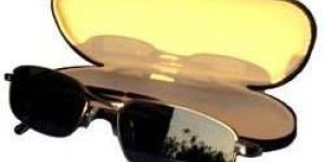 Spy Sunglass