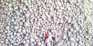 Nodullar Light Weight Aggregates