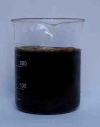 Liquid Bio Extract Organic Fertilizer