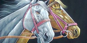 Horse Painting On Velvet