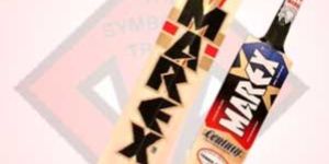 Kashmir Willow Cricket Bat (Centuary)