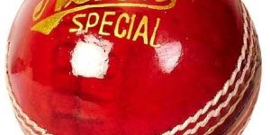 Leather Cricket Ball (Neha Special)