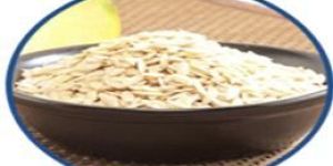 Muskmelon Seeds