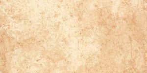 Jodhpur Beige Rustic Floor Tile