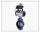 Pneumatic Actuated Butterfly Valve