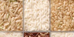Long Grained Rice
