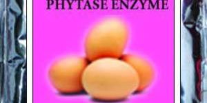 Phytocare-poultry Feed Supplement with Phytase Enzyme