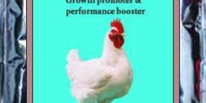 Protivet-growth Promoter for Poultry