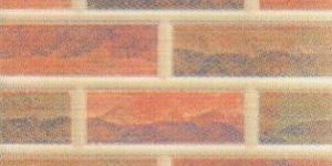 Elevation Wall Tiles