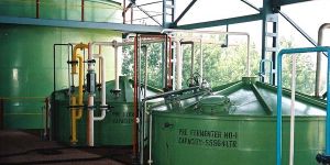 Fermentation Plant