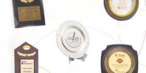 Silver Wood Trophy 02