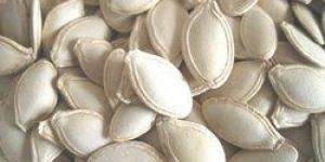 Pumpkin Seed