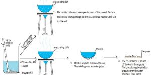 Continuous Evaporator