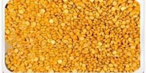 Pulses- Toor Dal