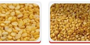 Pulses- Yellow Mung Dal