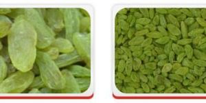 Raisins- Green Raisins