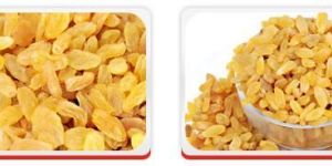 Raisins- Yellow Raisins