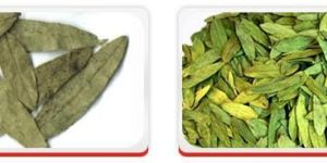 Senna Leaves