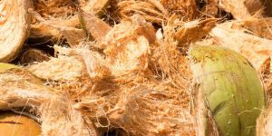 Coconut Coir