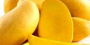 Fresh Banganapalli Mango