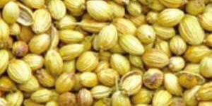 Coriander Seeds