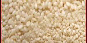 Sesame Seeds