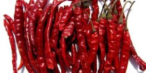 Dried Red Chillies