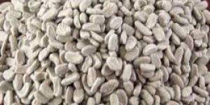 Anti Moisture Additives