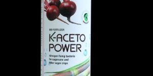 K Aceto Power Sugarcane Growth Promoter