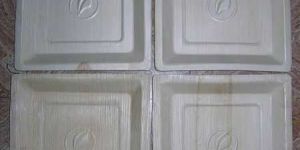 Areca Leaf Square Plate