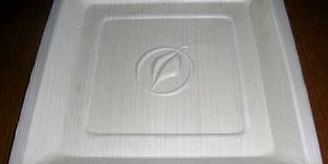 Areca Leaf Square Plate