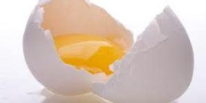 White Egg